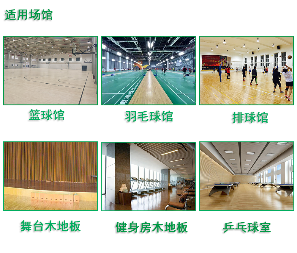 室內運動木地板